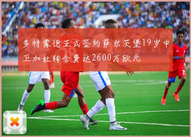 多特蒙德正式签约萨尔茨堡19岁中卫加杜转会费达2600万欧元