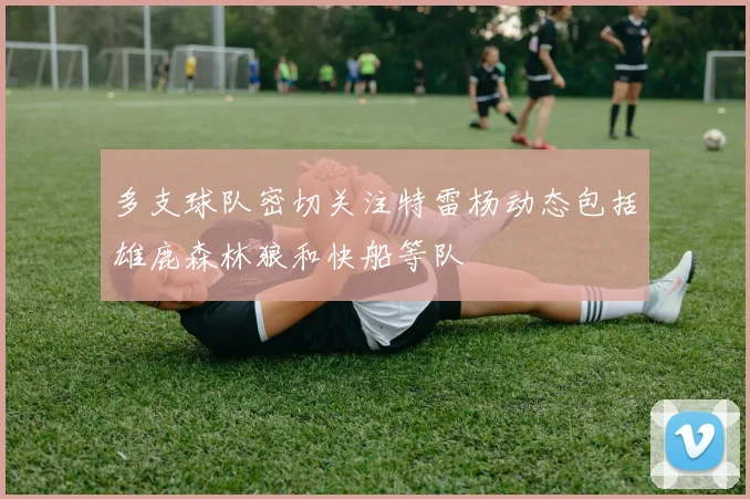 多支球队密切关注特雷杨动态包括雄鹿森林狼和快船等队